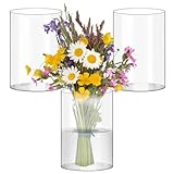 3 Stück Hohe Glasvasen, H:15CM, 10CM Durchsichtige Glasvase Zylinder Mit Boden, Breite Öffnung Glasvasen,Blumenvase aus Borosilikat-Glas,Ideal zum Verzieren,für Tischdeko, Kerze, Tulpen, Rosenetc