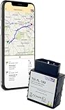 Automatisches KI-Fahrtenbuch mit GPS-Ortung/OBD2 (12 Monate)