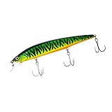 Jackall Rerange 130 SP Jerkbait | 130mm 21.5g | Weitwurf-Wobbler für Hecht & Zander (Heißer Tiger)