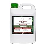 GREEN GOF Ackerschachtelhalm-Sud, Fungizid, Biostimulans, 5L. Konzentrierter Extrakt, Präventiv und Heilung von Pilzkrankheiten.