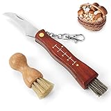 GVDV Pilzmesser mit Bürste und Lineal, Champignon/Trüffel Taschenmesser Klappmesser, Pilzbürste mit Wildschweinborsten, schwammerlmesser für Pilzsammler