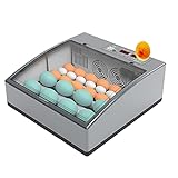 Brutmaschinen für 6–36 Eier, Haushaltsbrutkasten, einstellbare Temperatur, automatisches Wenden von Eiern, Brutmaschine, Mini-Eier-Inkubator für Hühner, Gänse und E,6 fully automatic single batteries