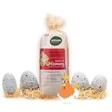 Hartweizennudeln Huhn und Hahn