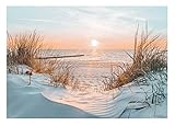 WallArena Fototapete 3D Strand und Meer Dünen Sonne Nordsee Modern Wohnzimmer Schlafzimmer Wandtapete Vlies Tapete Montagefertig (14021, V8 (368x254 cm) 4 Bahnen)