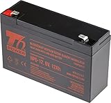 T6 Power Akku NP6-12, 6V, 12Ah