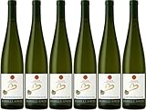 Famille Ancel AOC Alsace Gewurztraminer 2024 Halbtrocken (6 x 0.75 l)