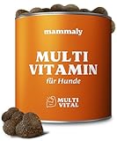 15-in-1 Multivitamin Komplex für Hunde - Multi Vital 110 Snacks (325g) von mammaly - Omega 3, Vitamin B, C, A, D3, E Snacks - Leckerlies für Hund - Unterstützt Immunsystem, Vitalität, Gehirnfunktion