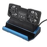 10 in 1 Dockingstation für Dampfdeck, ROG Ally, Legion GO, MSI Claw, 4K 60 Hz Dockingstation mit Abnehmbarem Dual -Cooling -Lüfter, 4 USB -Anschlüsse, 100W PD -Ladung, 1000 Mbit