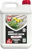 PROTECT GARDEN Permaclean Grundstoff Acetum, turboschnelle Beseitigung von Unkraut auf Wegen, Plätzen und Terrassen, 5 Liter Kanister, farblos