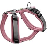HUNTER Hundegeschirr Maldon UP, Farbe: Altrosa/grau, weich gepolstert & komfortabel, stark reflektierend durch 3M Scotchlite, 4-Fach verstellbar, mit gepolstertem Griff (ab S-M), Größe: XS-S