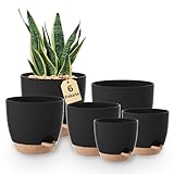 Bamworld Blumentöpfe 6 Set Selbstbewässernd Schwarz 20.3cm/17.8cm/16.5cm/15.2cm/14cm/12.7cm Blumentopf Pflanzentopf mit Untersetzer,Anzuchttöpfe,Zimmerpflanzen,Fensterbank deko