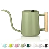 Gießkanne Zimmerpflanzen, 1L Gießkanne Klein Indoor Metall Edelstahl Moderner Dekorativer Giesskanne mit Langem Auslauf für Haus Pflanze Bonsai Outdoor Garten Blumen (Avocado Grün)