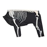 Folpus Halloween-Hundekostüm, Hallo ween-Hundespringanzug mit Totenkopfmotiv, lustiger Hundebody für kleine, mittlere und große Hunde, Haustierkostüm Cosplay-Outfit für Festival, Karneval, Party, 3XL