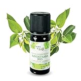 BORN TO BIO Ravintsara Bio-ätherisches Öl - 100% naturrein - Antivirale und Immunstimulierende Eigenschaften - AB zertifiziert - 10ml