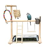 Vogel Spielplatz, Holz Wellensittich Spielplatz Freisitz mit 2 Edelstahl Feeder-Cup Spielzeug Leiter und Tablett, Papageien-Spielständer Sitzstange für Nymphensittich Papageien Wellensittiche (B)