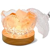 Kqpoinw 2-in-1 Salzlampe Sakura Scented Aroma Diffuser, USB Salzsteinlampe,Aroma Diffuser für Ätherische Öle, Salt Lamp mit Glasdeckel Duftöl Diffuser, Home Office Yoga Salzkristalllampe
