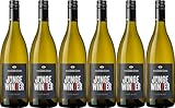 Auggener Schäf Junge Winzer Weißwein Cuvée Qualitätswein 2023 Trocken (6 x 0.75 l)