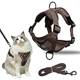Katzengeschirr mit Leine Ausbruchsicher, Katzengeschirr mit Leine Set, Verstellbar Katze Brustgeschirr mit Reflektierend Streifen & Atmungsaktiv Netzgewebe, für Katzen Kätzchen Welpen (M)