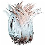 50 Stück/Los, farbige Hahnfedern, Fasan, Feder, zum Basteln, für Hochzeiten, Partys, Dekoration