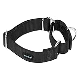 Mikivery marraht EIN hundehalsband mit verschlafenem farbenprächtigen metallhalsband für Haustiere eignet Sich für kleine mittelgroße und groß