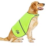 Warnweste für Hunde, Abeillo Pet Hunde Warnwesten, Hund Sicherheit Reflektierende Weste, Verstellbar Hundejacke für Outdoor Aktivitäten Spaziergänge im Dunkeln (Helle Grün)