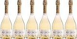 Vallformosa Gala Reserva Cava DO 2019 Brut nature (naturherb) Bio (6 x 0.75 l)