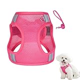 Hemousy Hundegeschirr Weste, Reflektierendes Geschirr Vest Mit Seilset Für Hunde, Haustier Trainingszubehör, Einfache Kontrolle Zugleine Für Outdoor Aktivitäten Spaziergänge