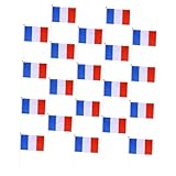 KONTONTY 20 Stück Konzert Hand schwenkende Flagge französische flaggen Stolz winken klein bunt Mini frankreich flagge french flag jubelnde Nationalflaggen handschwenkende Fahnen Plastik