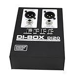 Leistungsstarke 2-K-Aktivbox mit Impedanzanpassung für Musiker und klaren Klang