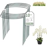 10 Stück Pflanzenstütz pfahl (25 * 40cm), Garten Blumenstütze Strauchstütze Metall Garden Halbrund Stützring käfighalter Rankhilfe Klettergitter für Tomaten Gemüse Blumen Pflanzenanbau Grenzstütze