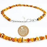 Amberta Bernstein Halsband für Hunde und Katzen | Bernsteinkette für Hunde | Halsband Hund: 35-40 cm