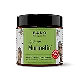 BANO Arlberger Murmelin Sport und Gelenksalbe I Original Murmeltiersalbe I MADE IN AUSTRIA I mit Murmeltieröl | Arnika | Latschenkieferöl (100ml)