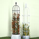 Generisch Garten Rankhilfe Weiß Rankobelisk Tomatenkäfig Rosensäule Spalier Durchmesser 40cm | Rankgitter Kletterhilfe| Kletterpflanzen Tomaten Rosen(Weiß,H-2.10m)