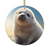 YYHWHJDE Molliges Siegelbild, Weihnachten, Keramik, Dekoration, kreisförmig, Innendekoration, Geschenk, 7,4 cm