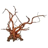 Amtra Legno Red Spider King - Größe S 25-45 cm, Naturholz-Dekoration für Aquarien, Naturstamm Ornament, Dekoration für Terrarien