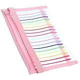 DOITOOL Reißverschlusstasche klein Ordnertaschen Notizbuch Binder Notebook-Cover-Tasche Ordner für die Schule Tasche für Loseblatt-Notizbücher Notizbuchtasche Plastik Rosa
