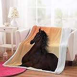 3D Pferd Kuscheldecke 100x130 cm Tiere Pferde Sherpa Decke Flauschig Microfiber Fleecedecke Weich und Warme Wohndecke Warm Blanket für Bett Sofadecke Tagesdecke（Muster 21-2）