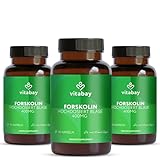 Vitabay Forskolin 400mg - 270 Kapseln aus Coleus Forskohlii Extrakt - Forskolin Hochdosiert Blase - Forskolin Blase Forskolina Forskolin Kapseln - Forscolin Foskolin Forskolin Pulver Forskolin Coleus