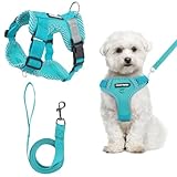 Anti Zug Hundegeschirr Kleine Mittelgroße Hunde, Mit Hundeleine Set,Atmungsaktiv Geschirr Hund Hundegeschirr Leuchtend, L