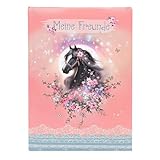 goldbuch 43 141 Freundebuch Luna, Freundschaftsbuch DIN A5 mit 84 illustrierte Seiten, für Kita, Hort und Grundschule, für Beste Freunde in der Schulzeit, Kunstdruck Einband mit Pferde-Motiv, Rosa