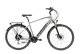 F.lli Schiano E-Wave 28 Zoll Men's E-Bike, Trekking E-Bike mit 250W Motor und 8-Gang-Getriebe in Silber