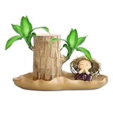 Mini Brasilianisches Glücksholz, 10cm Brazilian Wood Mit Lotusblatt-(zufälliger Stil), Absorbiert Formaldehyd, Schützt Vor Strahlung, Reinigt Die Luft, Steigert Den Wohlstand