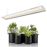 Spider Farmer LED Pflanzenlampe SF600 LED Grow Lampe Vollspektrum Grow Light Wachstumslampe für Zimmerpflanzen mit Reflektor Pflanzenleuchte Pflanzenlicht für Innen Gartenarbeit Gemüse Blume 384 LEDs