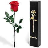 Naunauya Infinity Rose im Glas – Ewige Rose mit Glitzer – Konservierte Rose als Geschenk für Ehefrau, Freundin – Romantisches Blumen Geschenk zum Jahrestag, Valentinstag, Geburtstag