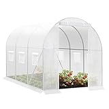 WOLTU Gewächshaus, Foliengewächshaus für Aufzucht Tomaten, Tomatenhaus Winterfest mit Tür 6 Fenstern, aus Stahlrohr PE, 200 x 200 x 300 cm, Weiß
