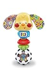 VTech Baby Wauwau-Rassel â€“ Babyrassel Im Hündchen-Design Mit Lustigen Sätzen, Musik Und Lichteffekten â€“ Für Babys Von 3-24 Monaten