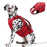 Queenmore Schwimmweste Hund XL, Ripstop Hunde Schwimmweste, Schwimmweste Labrador, Hundeschwimmweste Große Hunderettungsweste Mit Griff,Bootfahren Surfen, Rot, XL