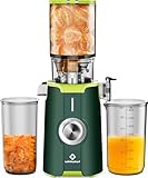 LINKChef Schnellreinigungs Entsafter, NO-Prep Entsafter Gemüse und Obst, Blitzreiniger Saftpresse Slow Juicer Testsieger mit Einfacher Installation, BPA Frei, 115mm, 1.2L, 200w Grün