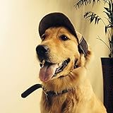 Hunde Baseballmütze Verstellbar Hunde Hut Hundecap mit Ohrlöchern Atmungsaktiv Sonnenhüte Sommer Reise Haustier Baseballmützen Haustierkappen für Haustier Hunde Welpen