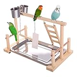 JasCherry Vogel Spielplatz Papagei Spielplatz Holz Gym Vogelständer Barsch Turnhalle Leiter Laufgitter Spielzeug Übungsspiel für Wellensittiche Nymphensittich mit Feeder Cups Tablett Schaukel #B